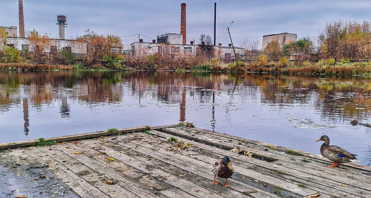 территория стекольный. иркутская стекольная компания. мир стекла чебоксары. территория стекла. чебоксары улица спартака.