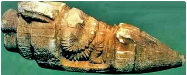 Артефакт "древний шаттл".