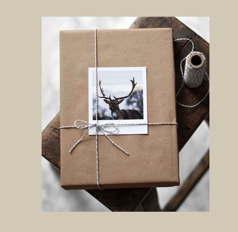 Одна из любимых чужих идей (pinterest.com). Это может быть фотография, картинка иж журнала. И да - тигр! В этом году это может быть тигр. Таким образом можно оригинально вручить в подарок рамку для фото, а подходящую картинку разместить снаружи. 

