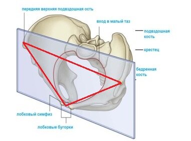 Неприятные ощущения в животе