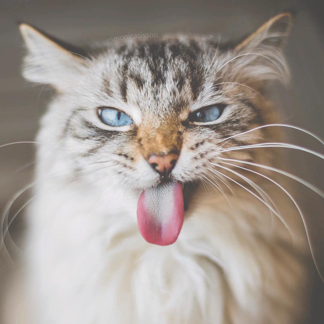 со мною не соскучишься..