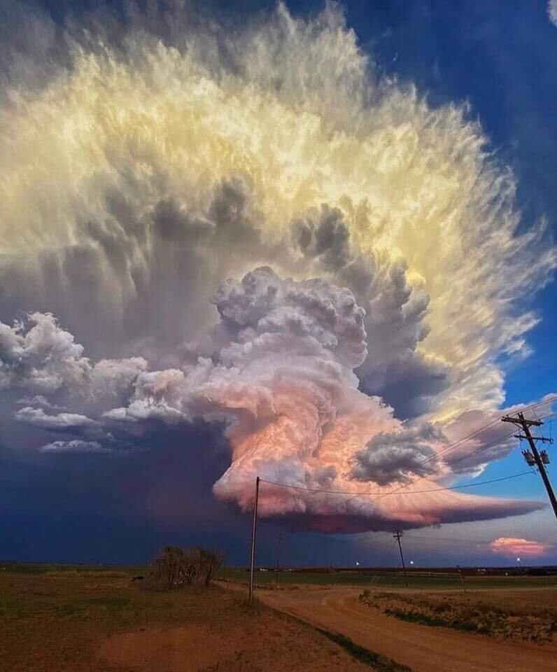 #афоризмы и фразы #мысли вслух 