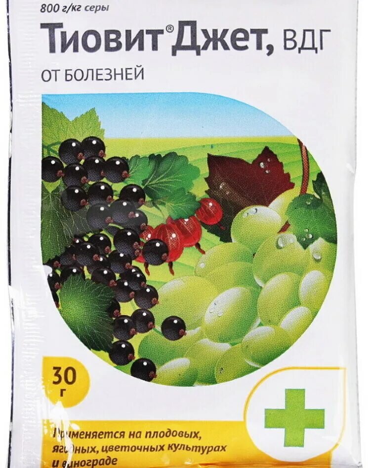 Тает снег и наши деревья и кустарники подвергаются нашествию клещей, болезням. Что я делаю? Обязательная обработка такими препаратами Тиавит Джет, прекрасный препарат в состав которого входит сера. Сера вещество которое наиболее эффективно действует на уничтожение почкового клеща, мучнистой росы. Только в тёплую погоду и только по инструкции, иначе эффективность теряется этого препарата. 