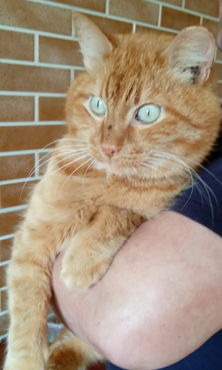 Мы собрали за два поста несколько тысяч рублей. И очень благодарны всем, кто откликнулся. 