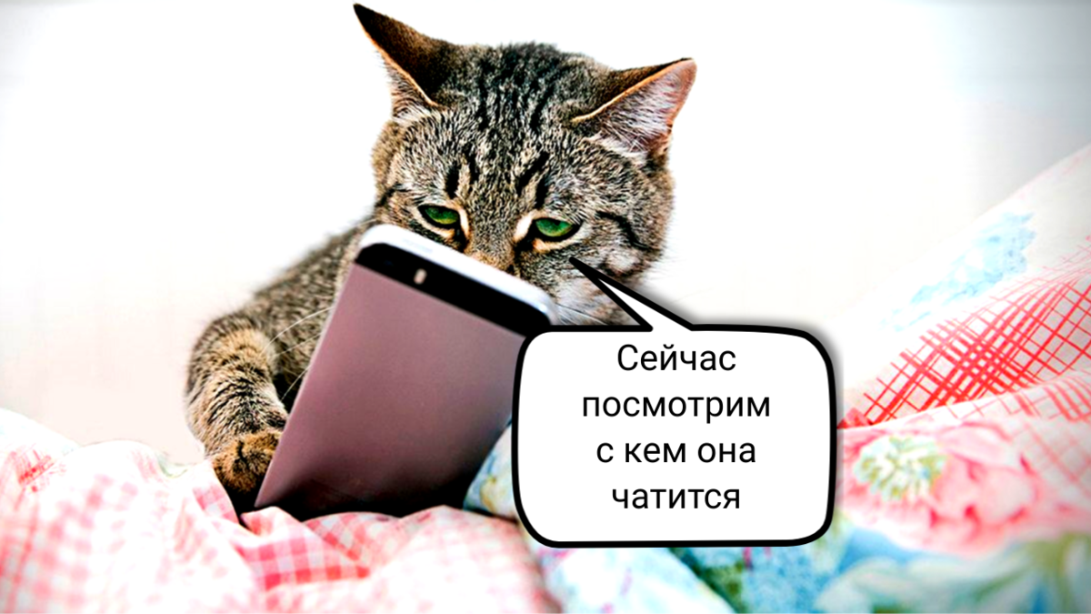 Настройка приватности в Telegram