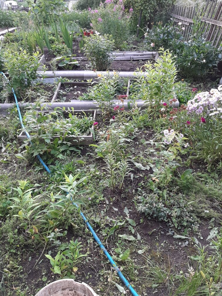 Плоховато видно, но я опишу