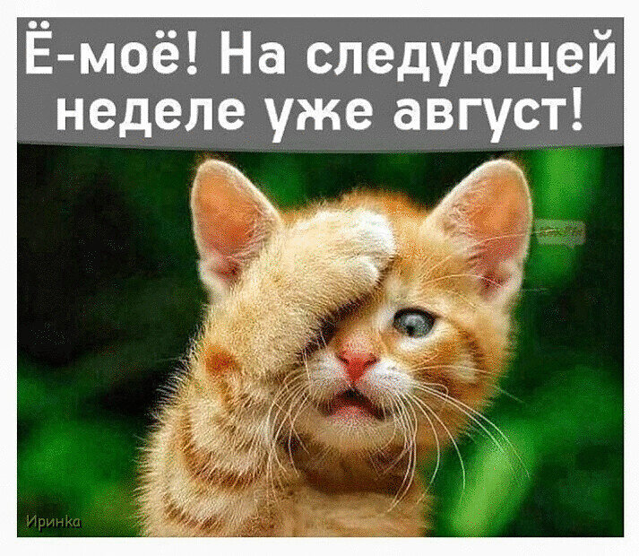 Изображение найдено на просторах Интернета