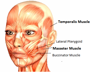 Боль в жевательных мышцах