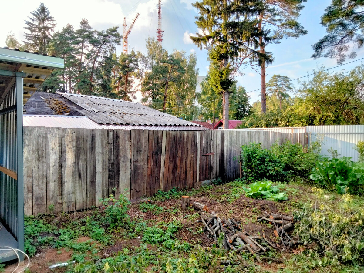 Старый деревянный забор