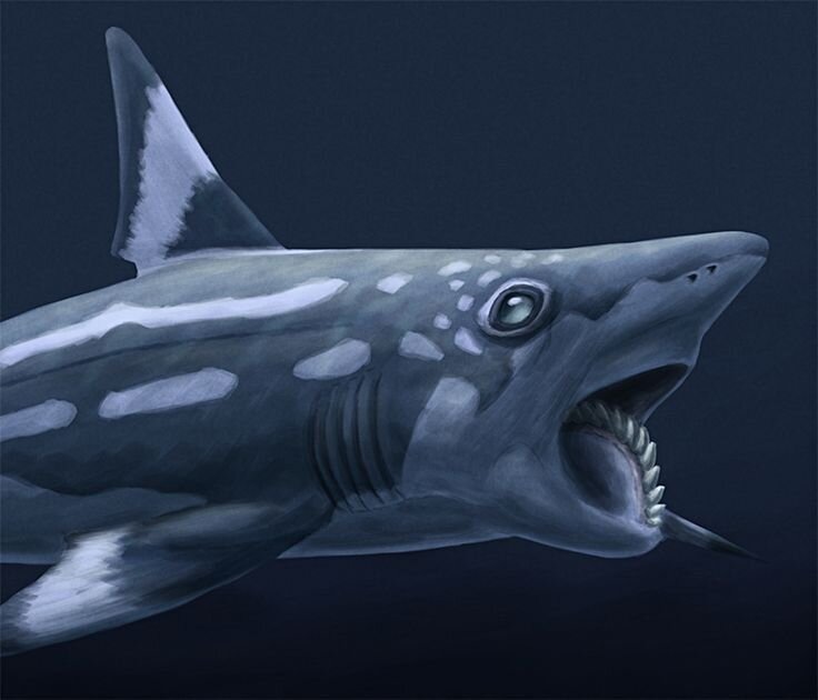 Доктор, у меня с зубами всё в порядке?