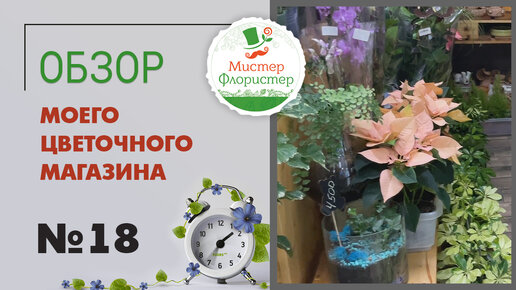 #19 Обзор цветочного магазина 