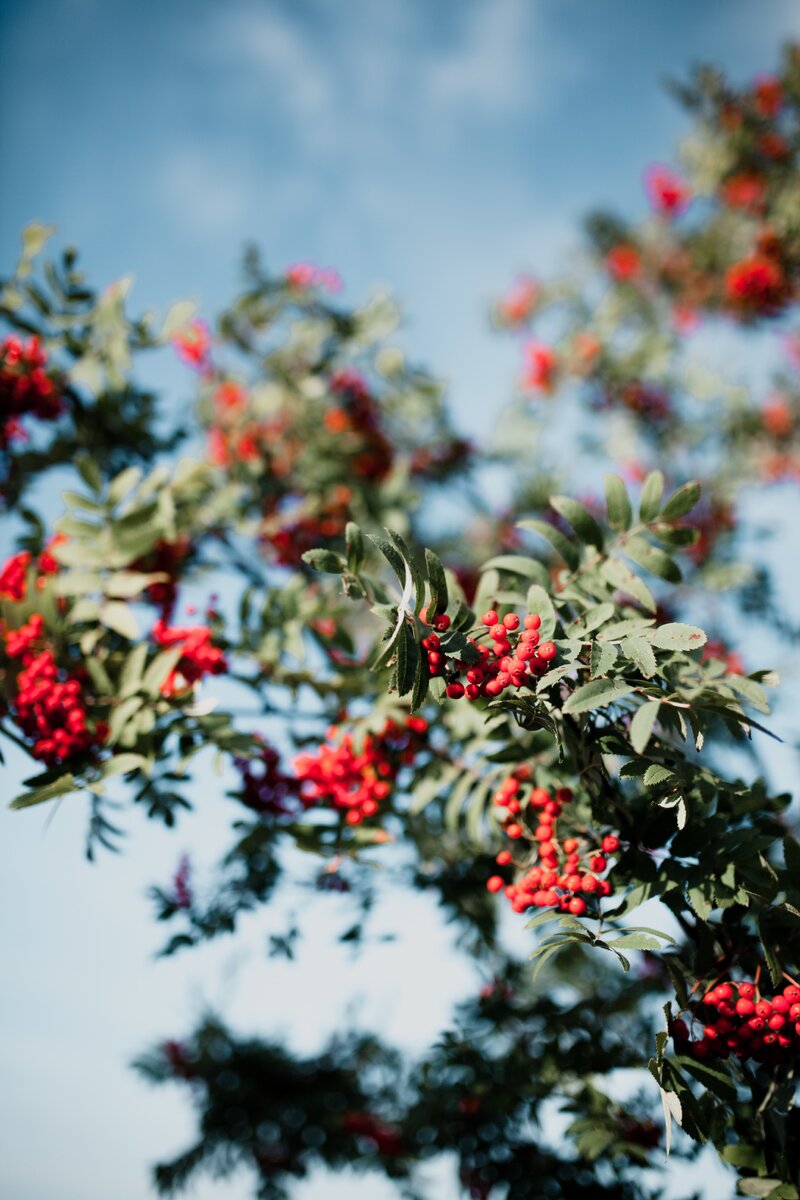 Photo by Zane Līsmane on Unsplash
