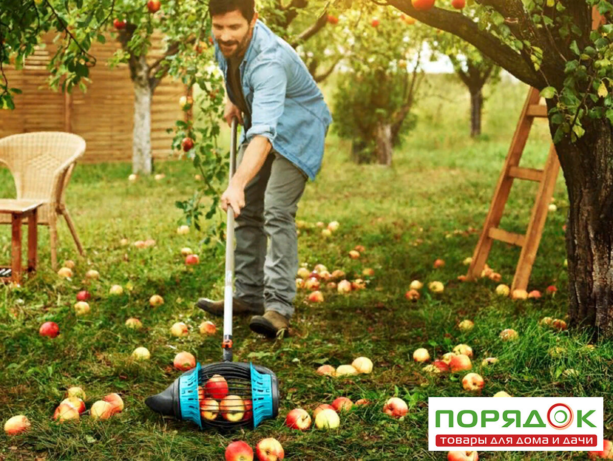 Для сбора падалицы или плодов на переработку отлично подойдет Плодосборник Gardena ➡➡➡