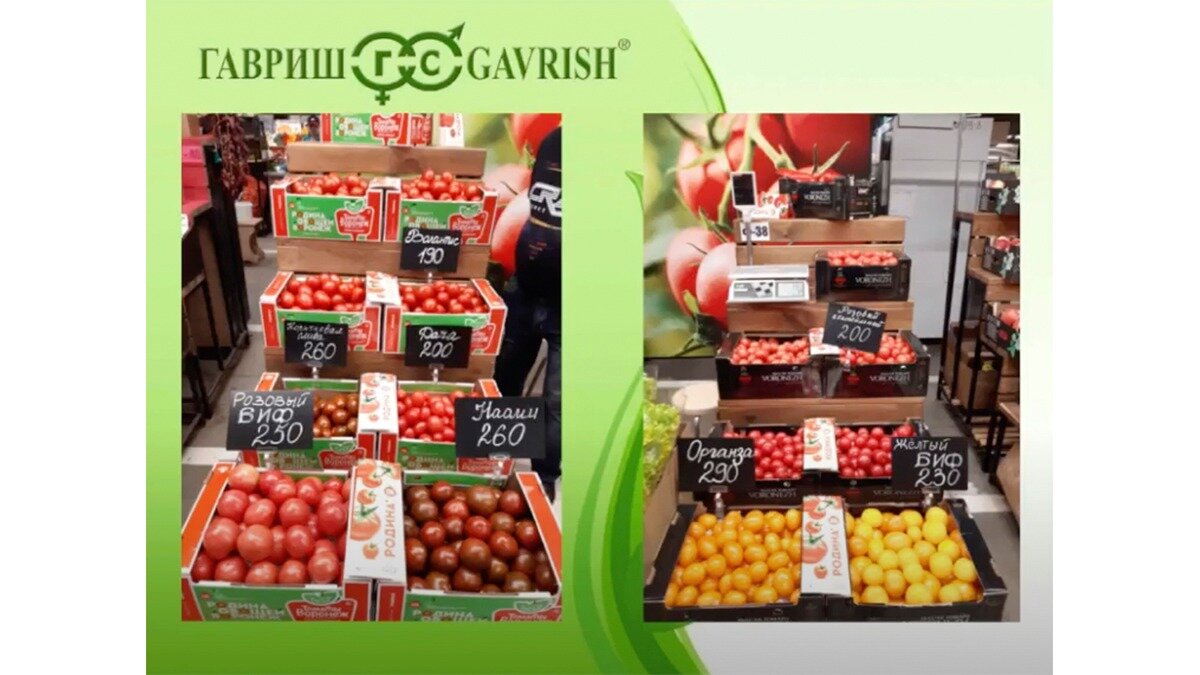 Фото: компания «Гавриш»