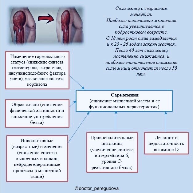 Как увеличить силу, объём и выносливость. читать статьи о спортивном инвентаре в блоге Barfits