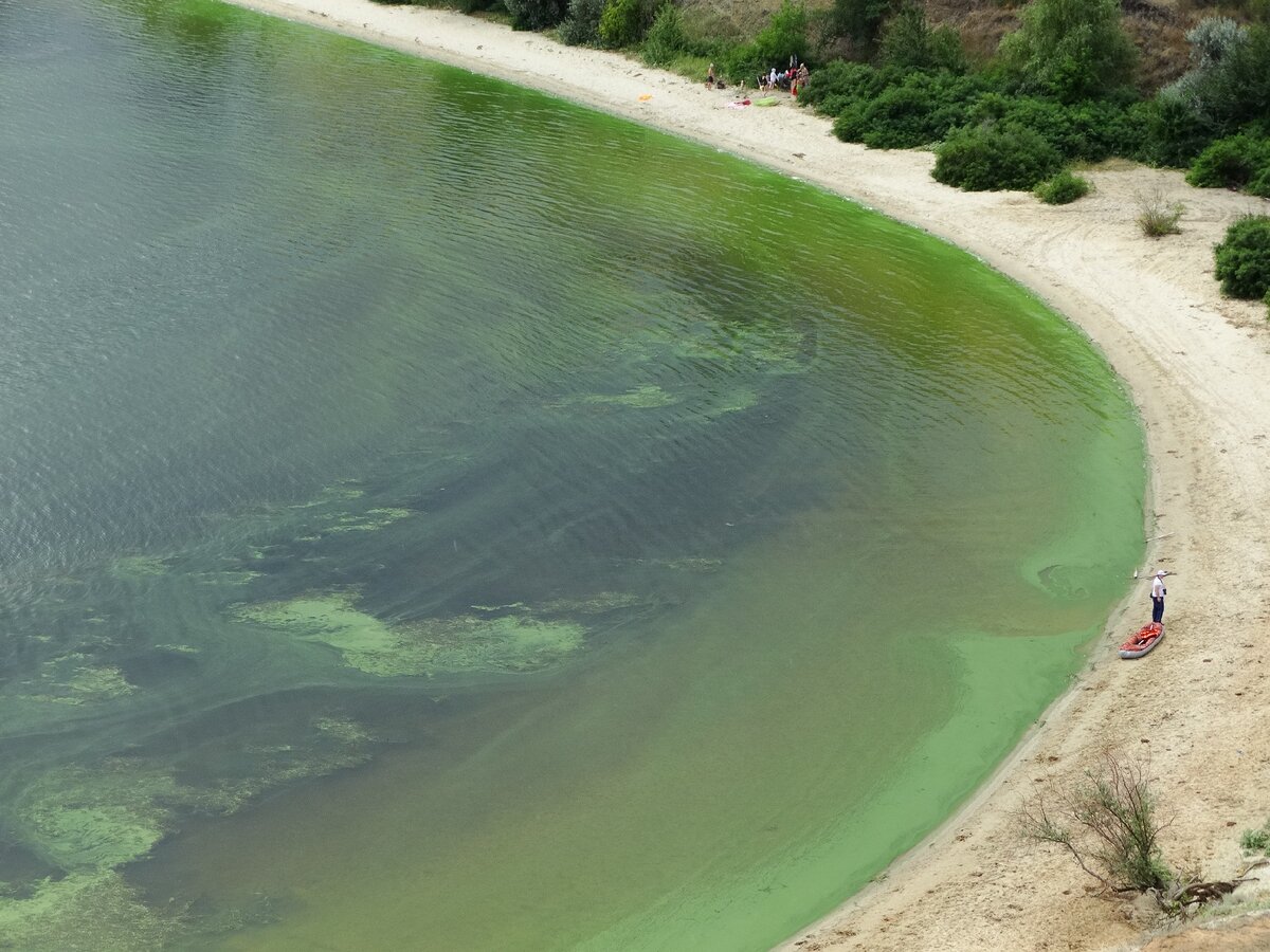 ташировское водохранилище пляж