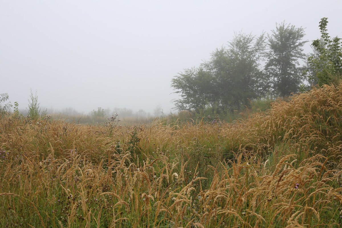 Перспектива-это видимая даль. Что же тогда невидимая даль?