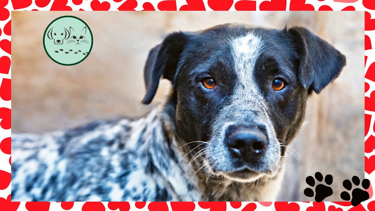 Ставьте лайки подписывайтесь на канал