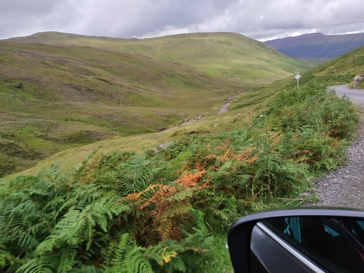 Отпуск в Шотландии: долина Солнца, дороги в одну полосу и супер подарок от местных