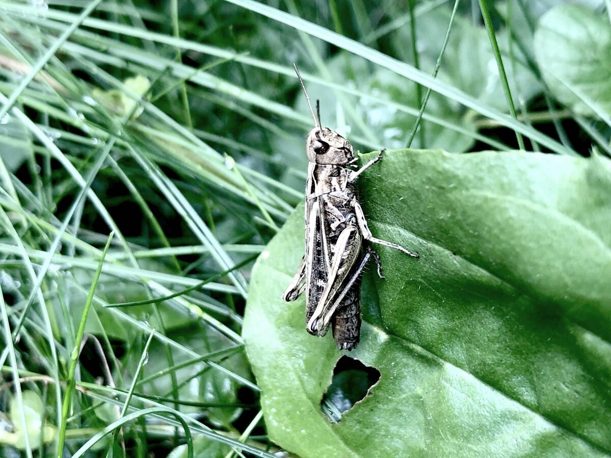 Что?! Мало я в баночке сидел? Так ещё и фотографироваться должен?!