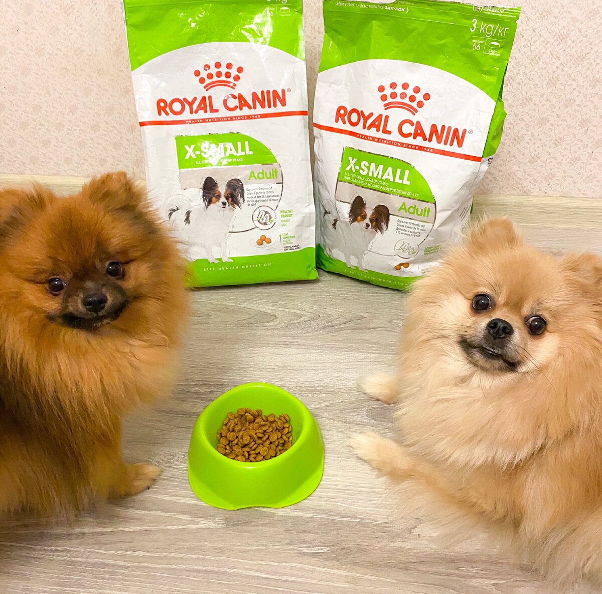 Микки и Нюша 