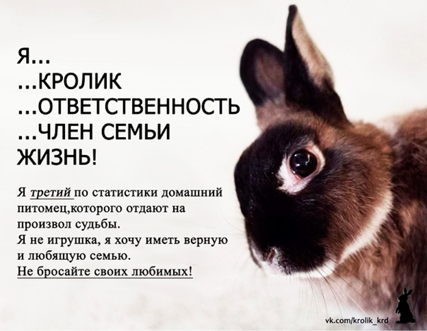 Фото из Яндекс.Картинки