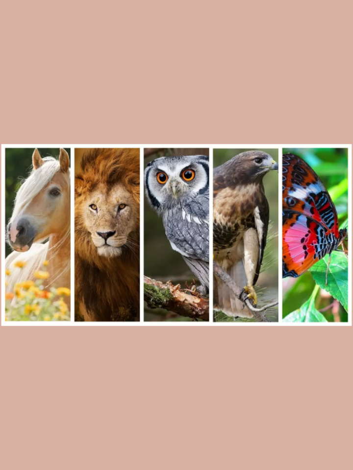 Изображение взято из открытых источников