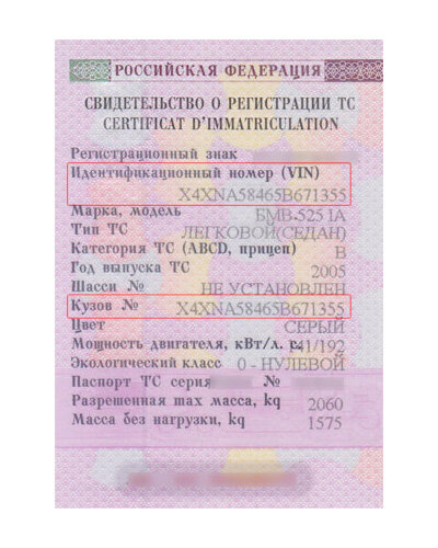 Номер птс где посмотреть картинки