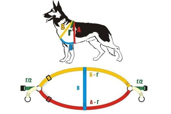 Как сделать шлейку для собаки своими руками: идеи и инструкции
