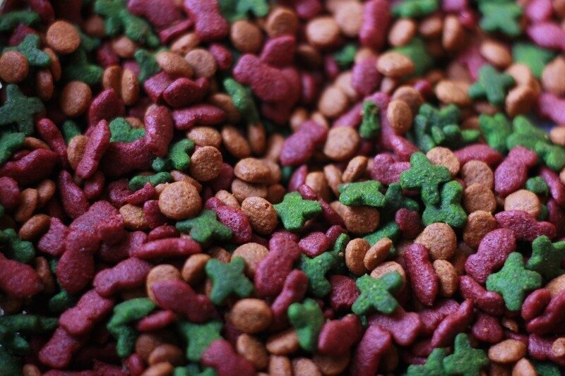  Источник фото pixabay.com