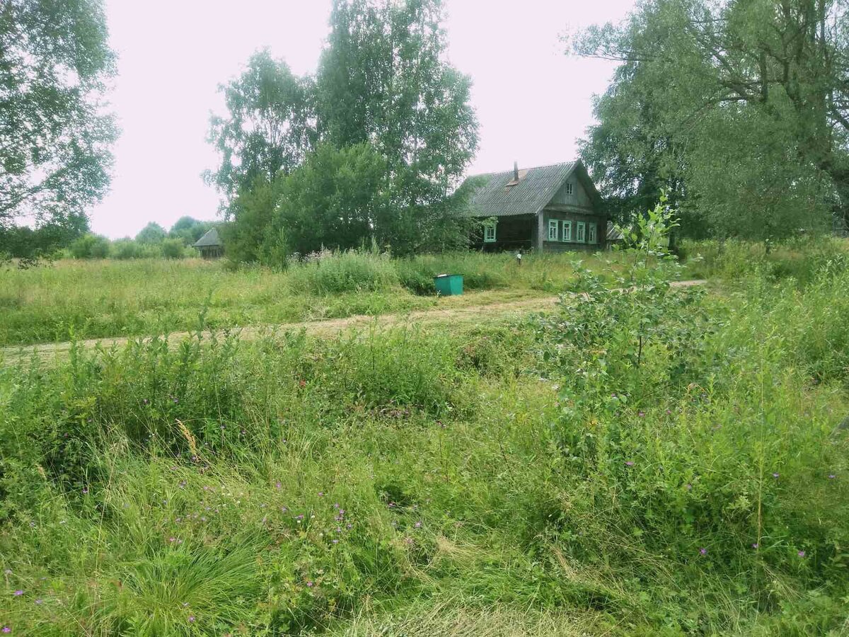 Долгожданный мусорный бак прямо напротив нашего дома. Фото «от ворот»