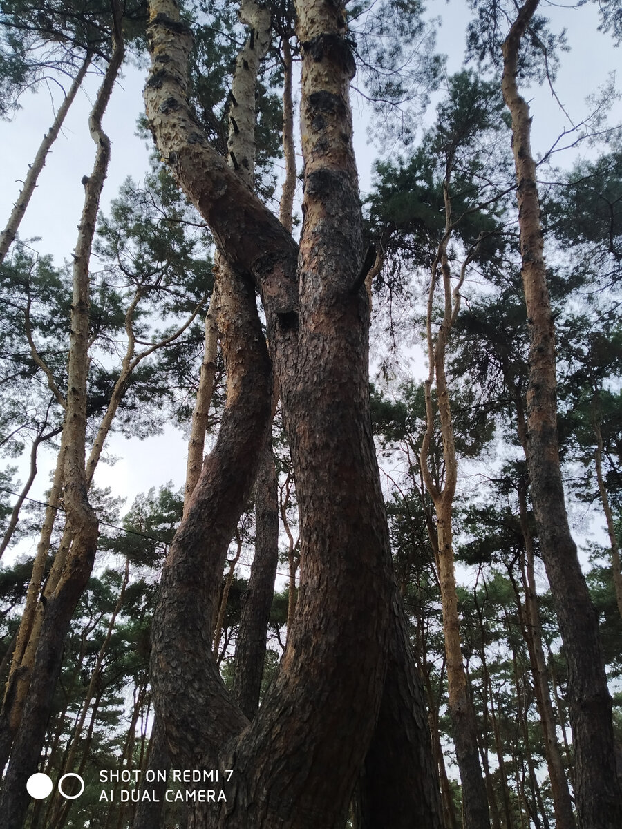 Фото из личного архива.