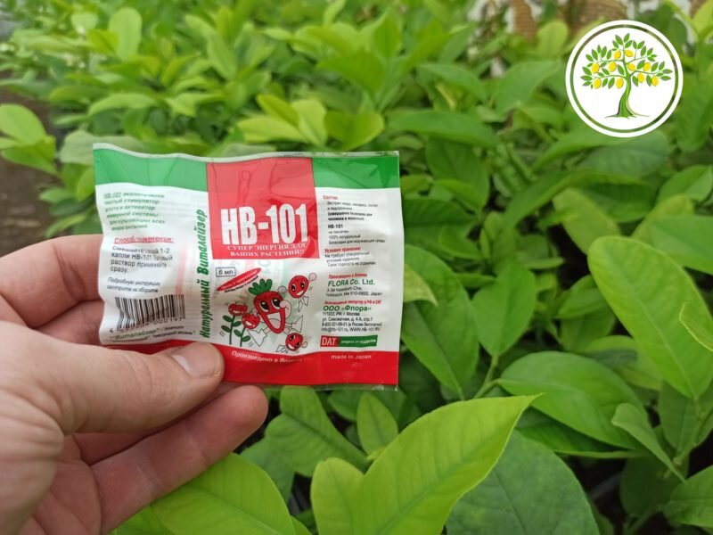 Препарат HB 101. Иллюстрация для статьи используется с сайта pavlovolimon.ru