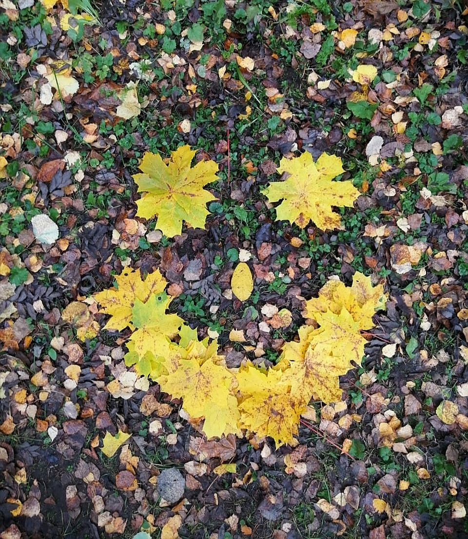 Улыбка осени