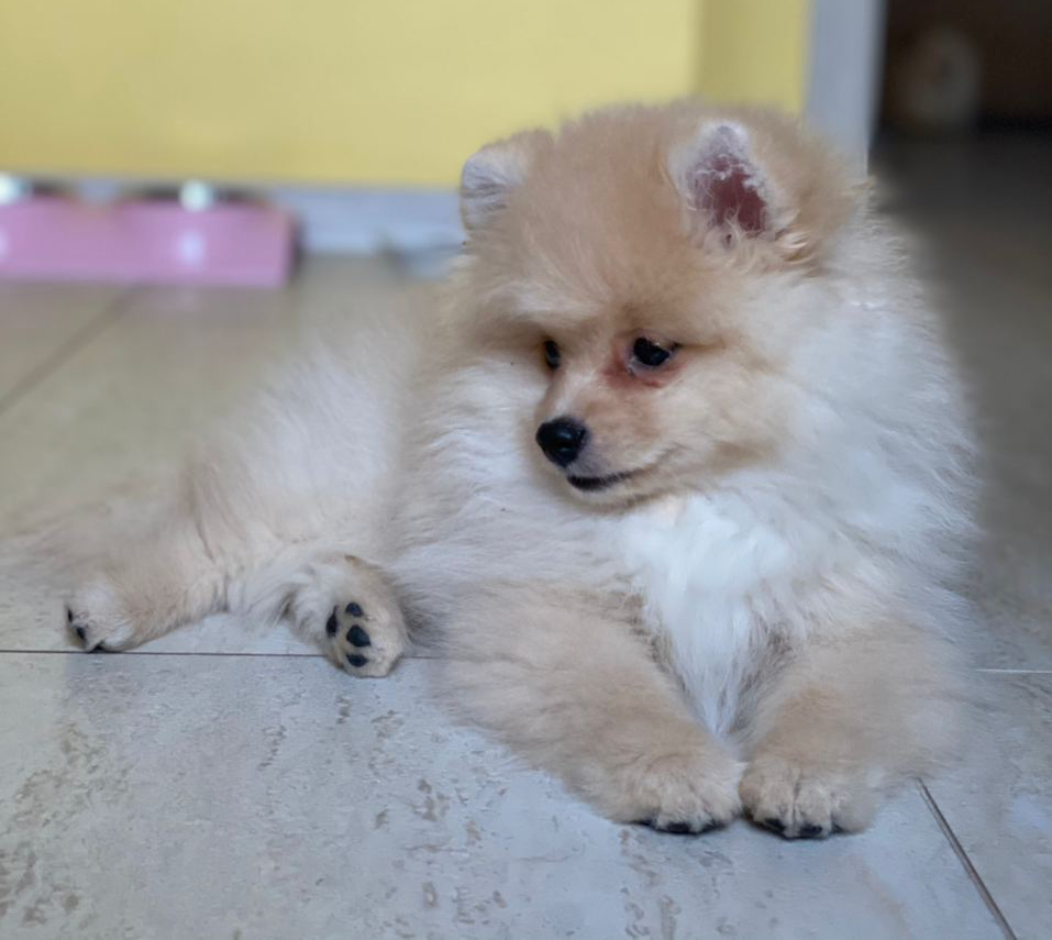 Наша милашка Бонни