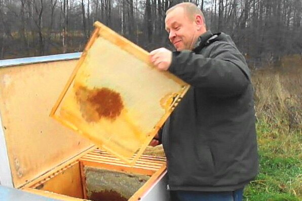 Отбор мёда в ульях лежаках октябрь 2017 года.