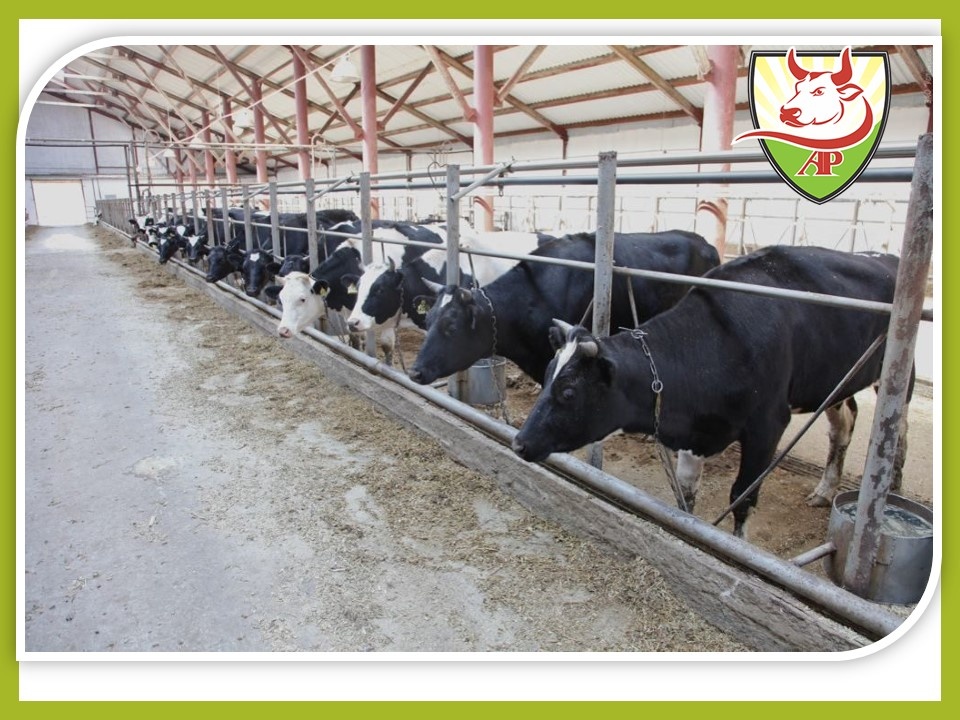 Источник фото Группа компаний "АгроПрофи"  https://agroprofi.pro/category/novosti/