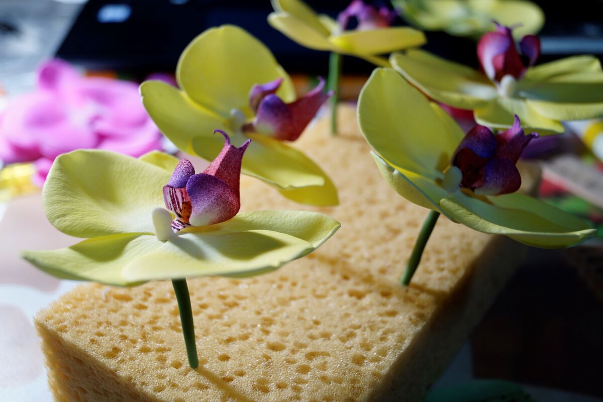 Процесс изготовления орхидеи из конфет:
