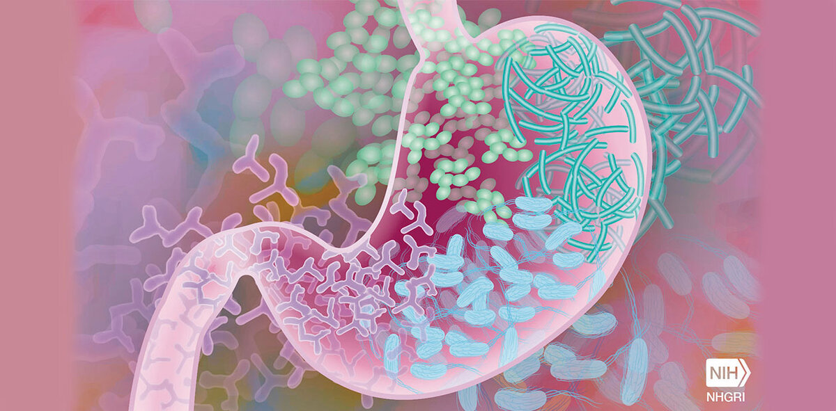 Credit: National Human Genome Research Institute