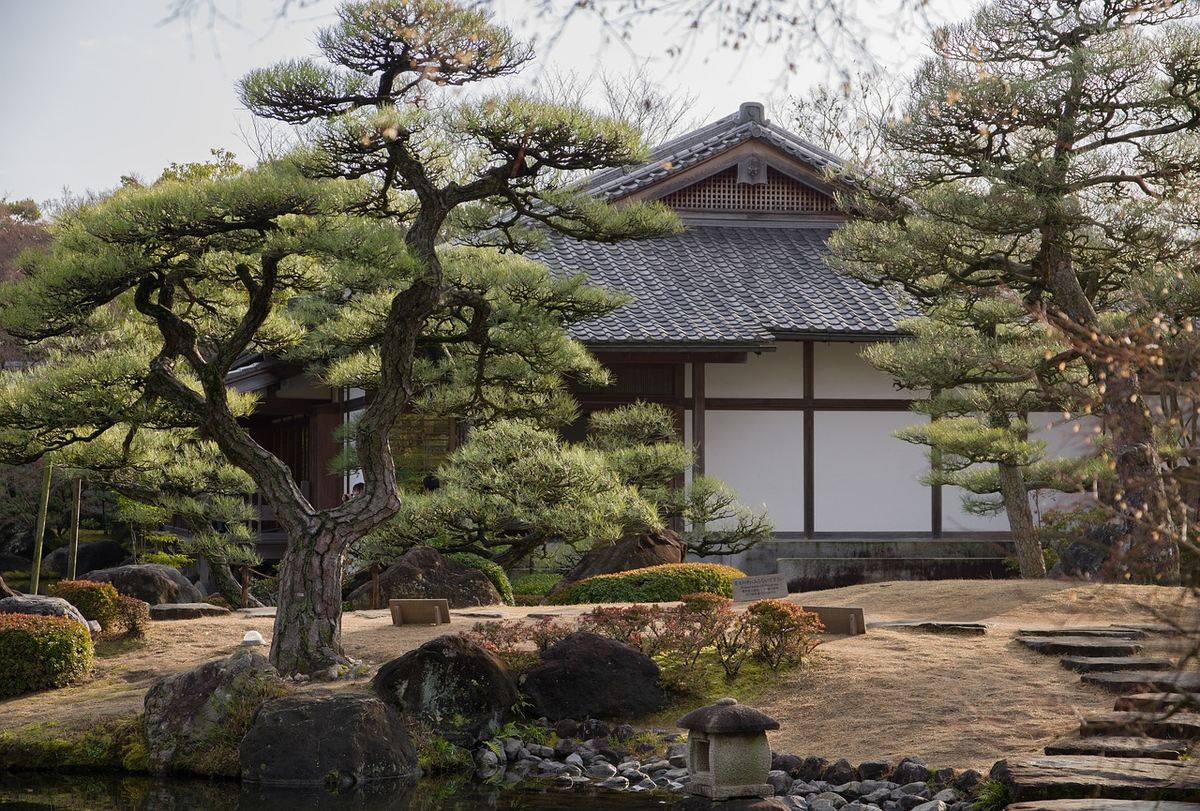 Японский дом планировка (69 фото) - красивые картинки и HD фото