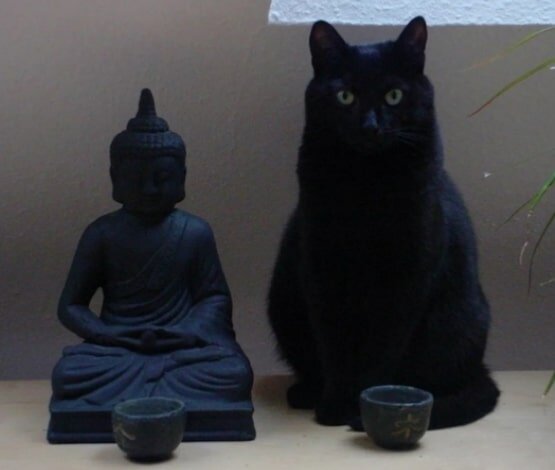 честно стащила с https://chto-eto-takoe.ru/img/zen.jpg