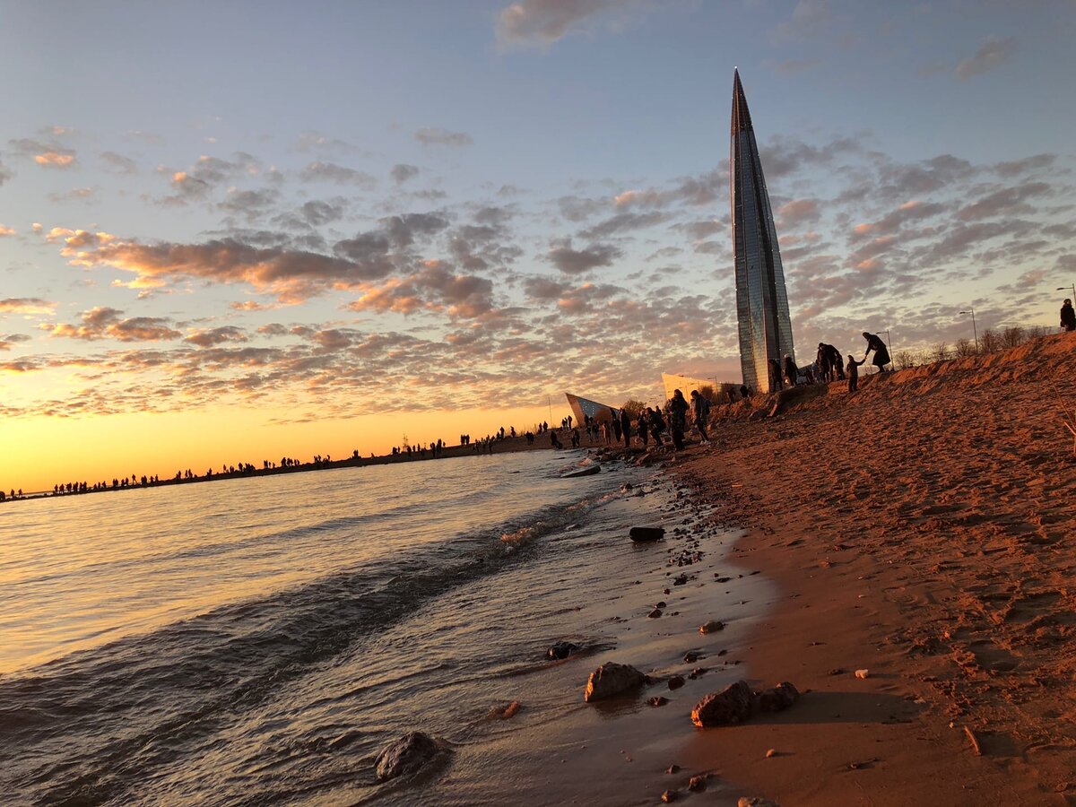 Фото - Полит-Профит