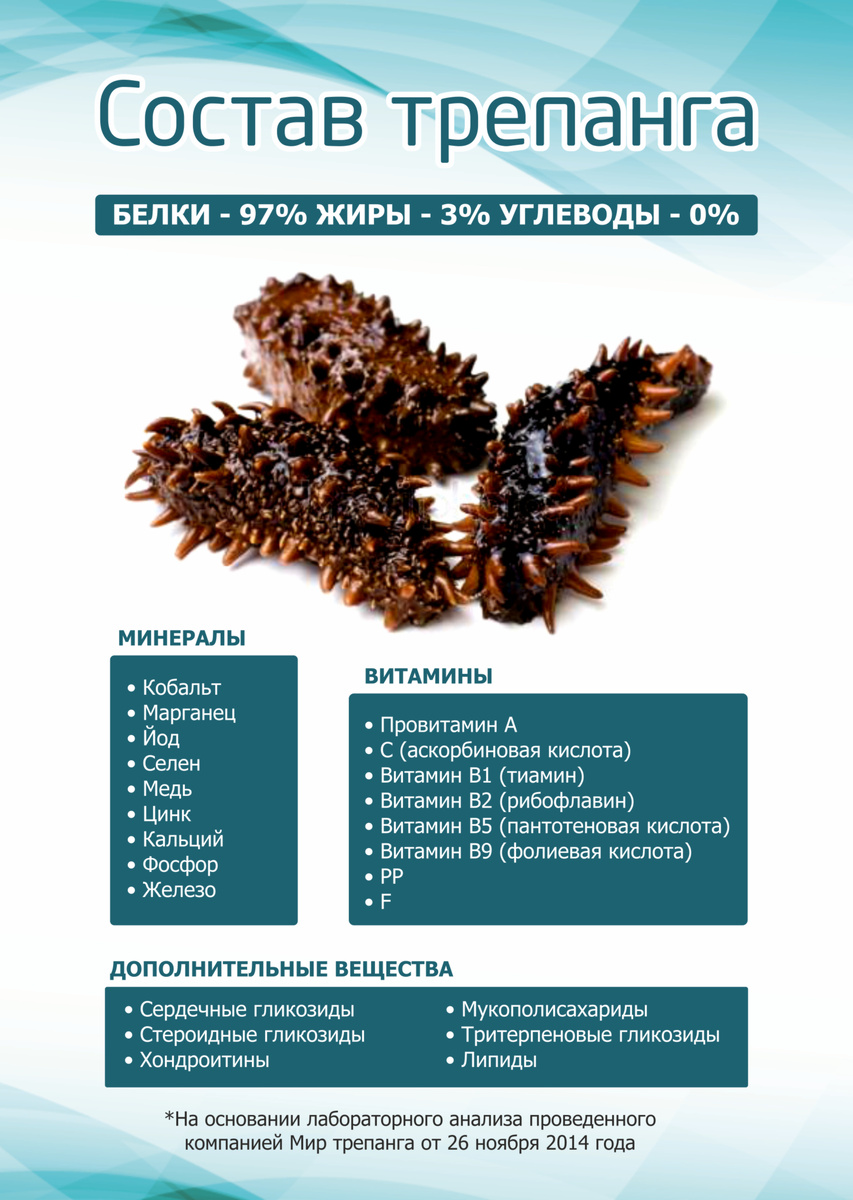 Полезные свойства морской кубышки, источник фото https://trepangi.ru