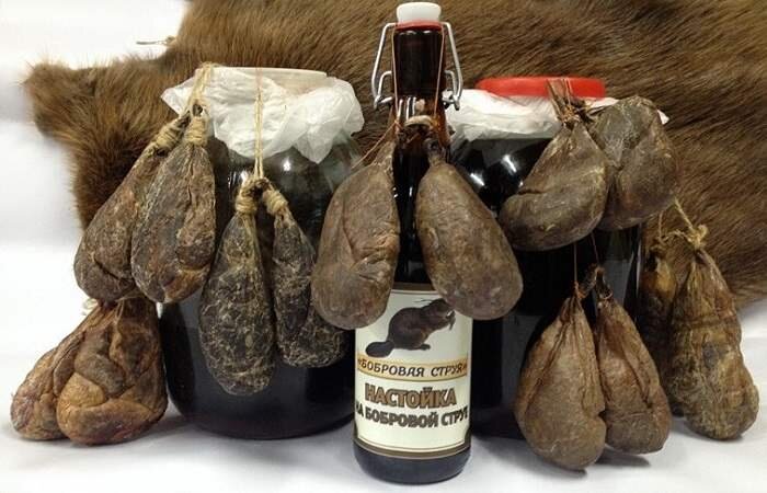 Бобровая струя