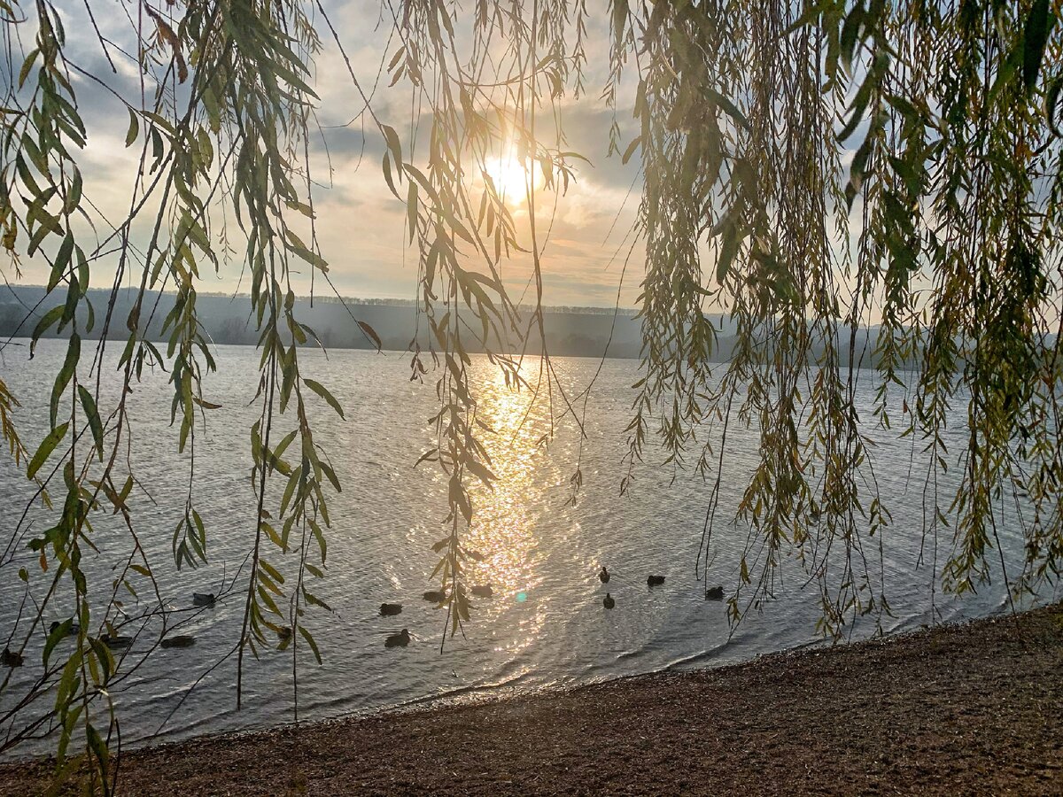 Фото автора 