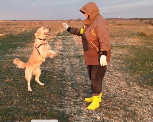 Куба учит хождение на задних лапах