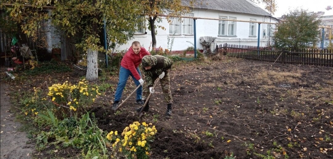 Копать (не) забивать.