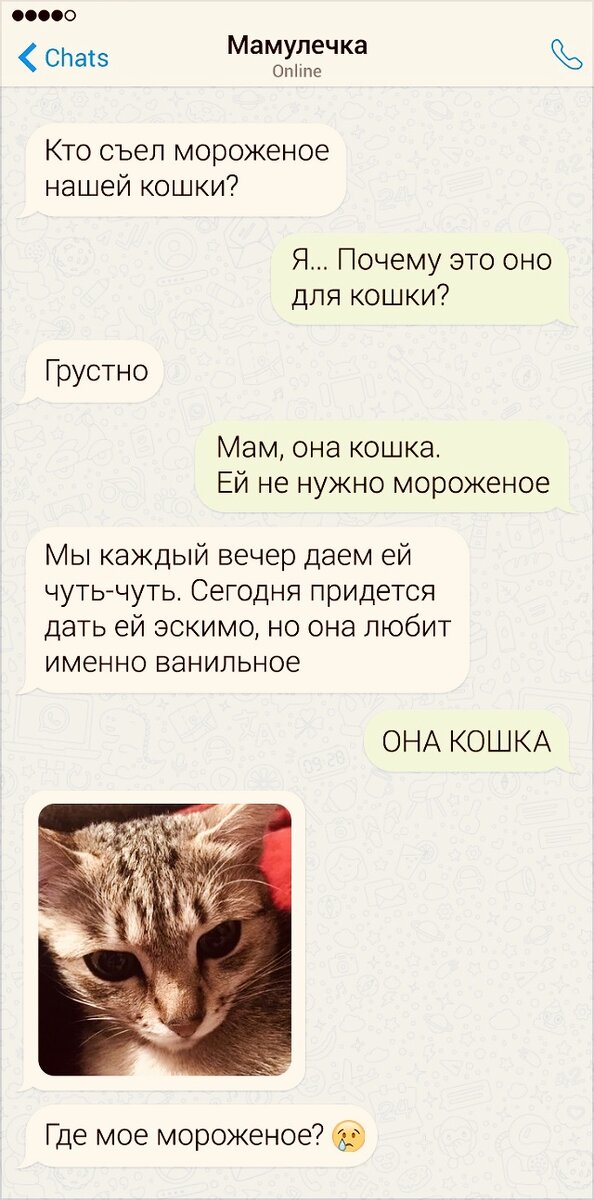 Кошку обижать не стоило, береги теперь свои тапки😂