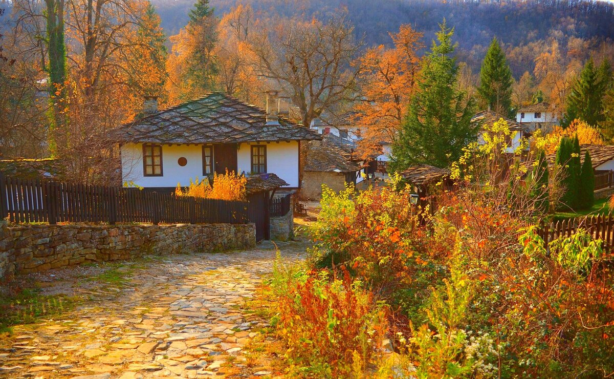 https://www.goodfon.ru/download/derevnia-doma-osen-dorozhka-autumn-fall-village-colors-path/3000x1849/