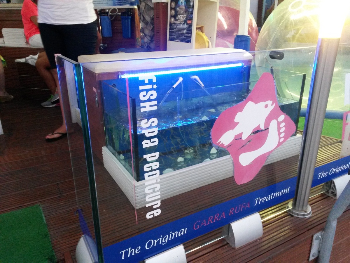 Аквариум с рыбками Гарра Руфа.